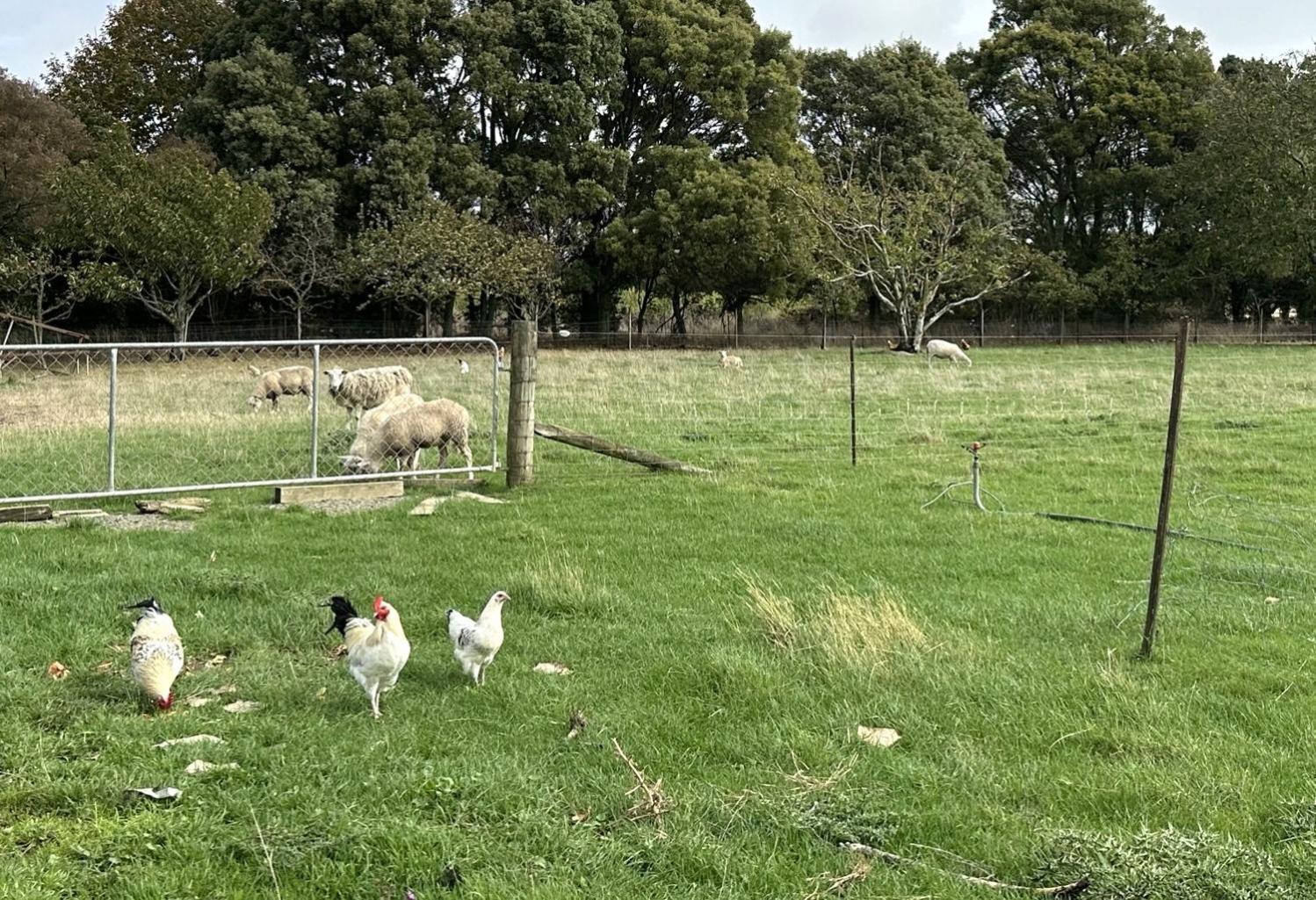 纳尔逊Country Retreats On Ranzau 2别墅 外观 照片